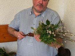 2024_03_22_palmbuschen  028